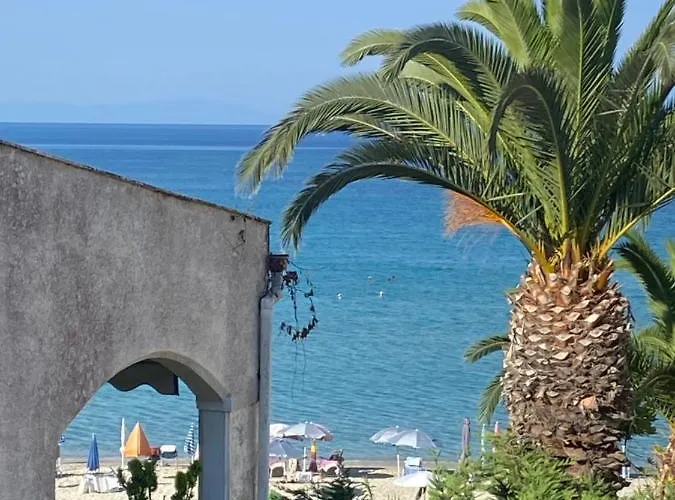 Franki View *